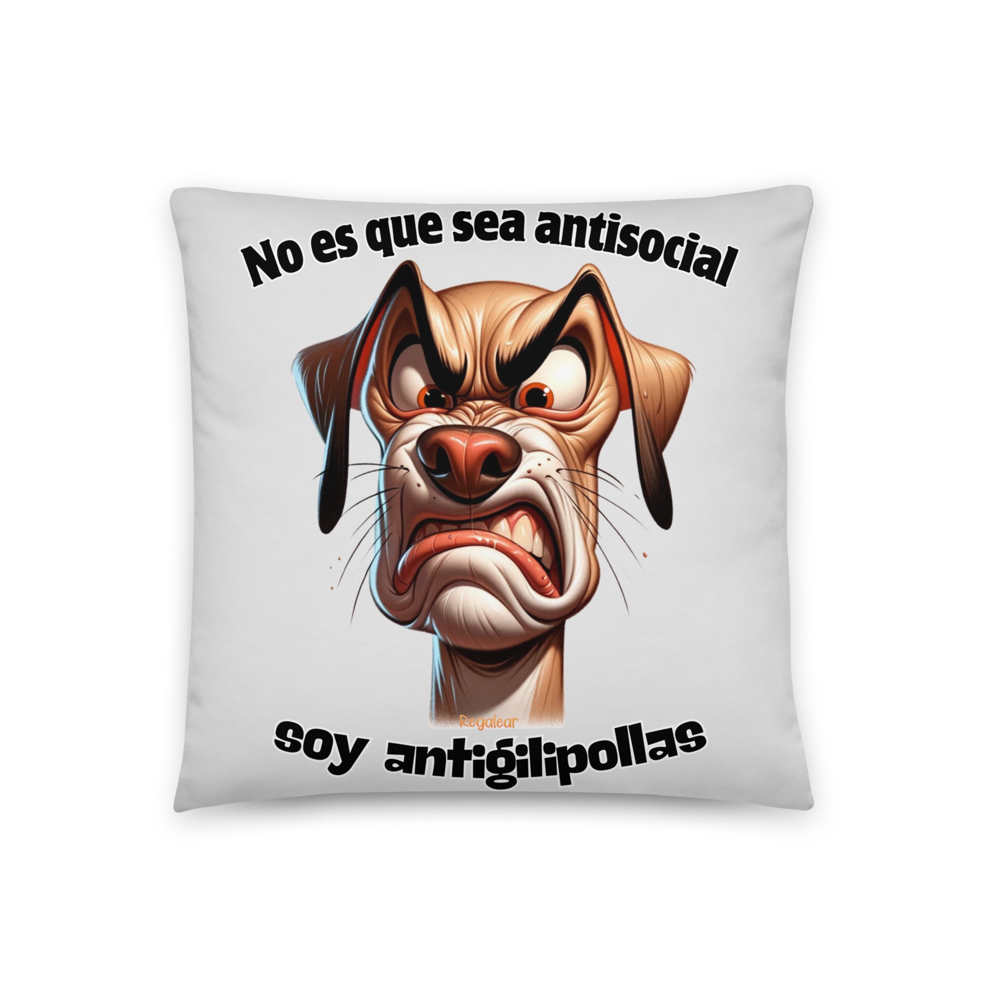 cojines personalizados con frases