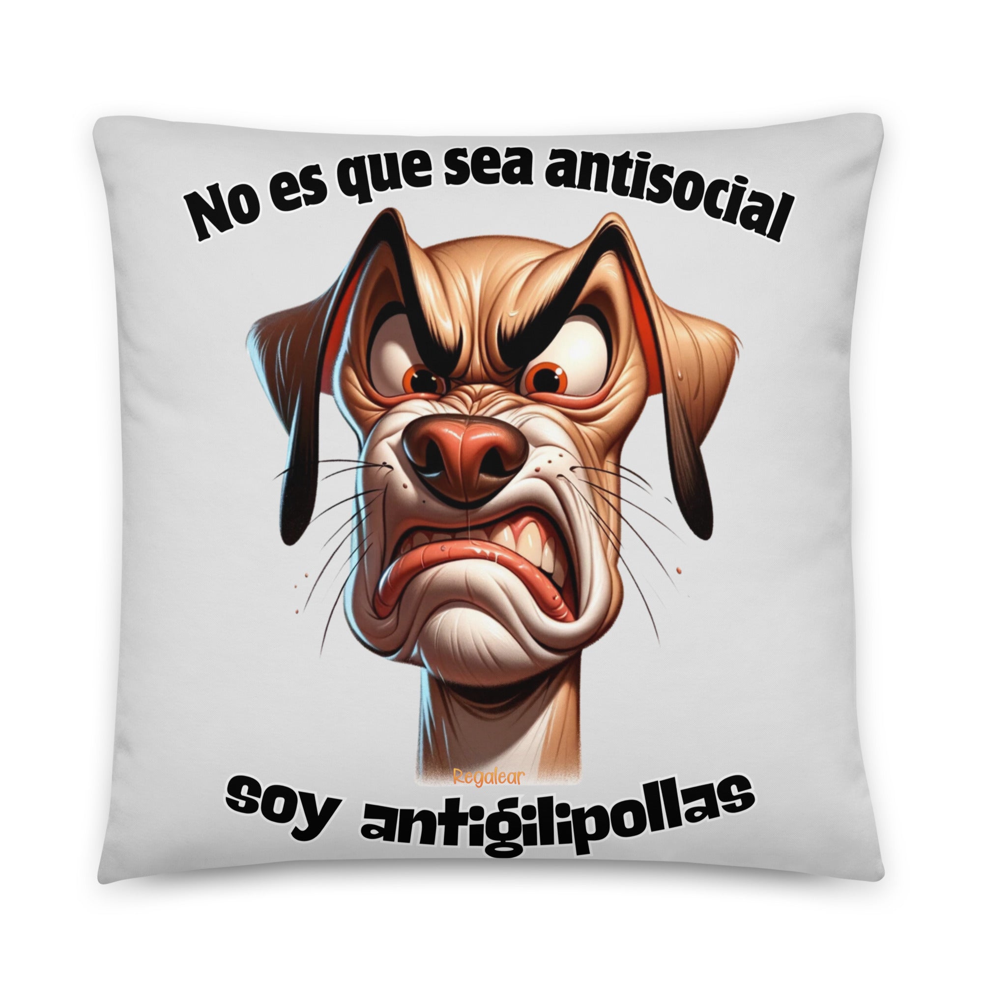 cojines decorativos divrtidos