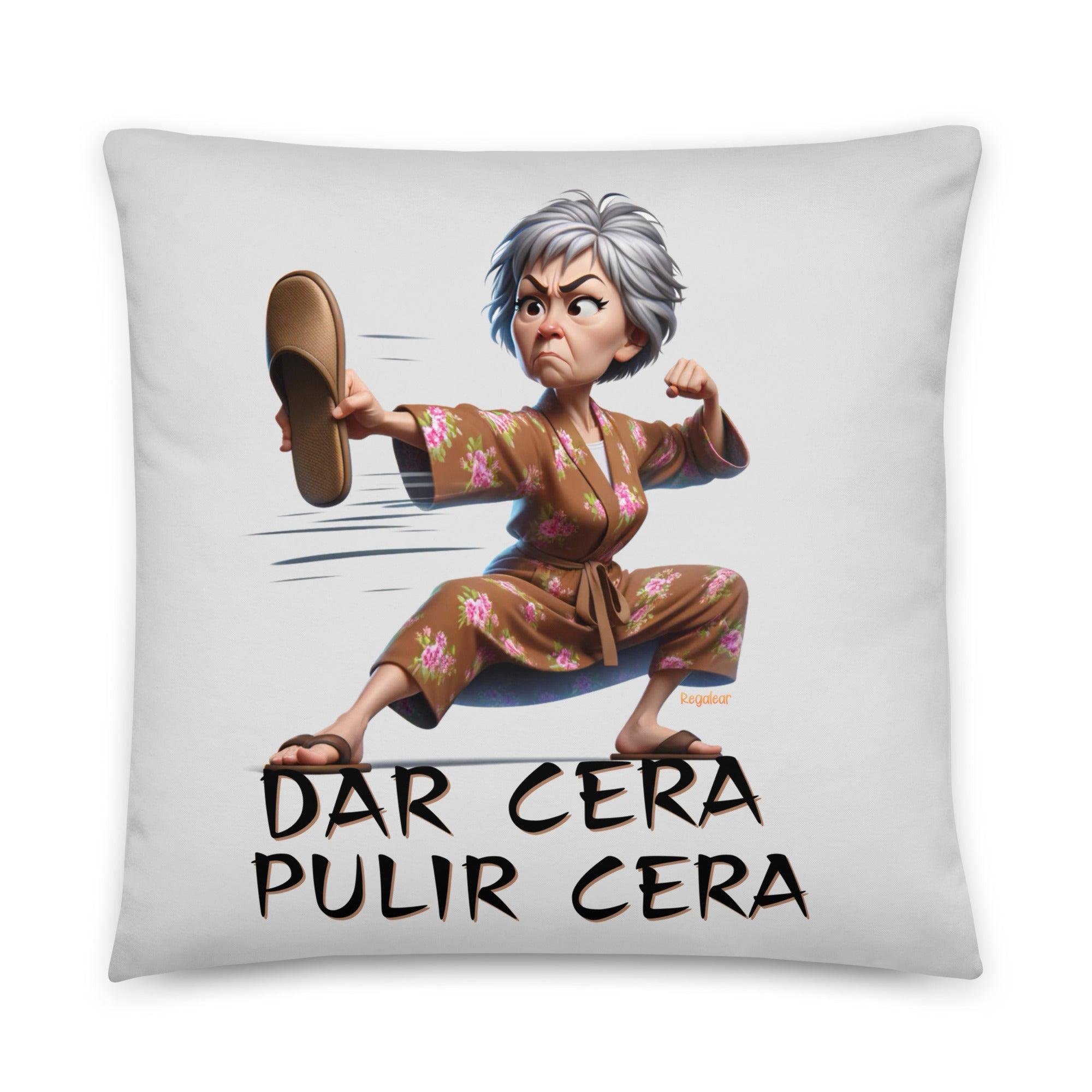 cojines personalizados divertidos